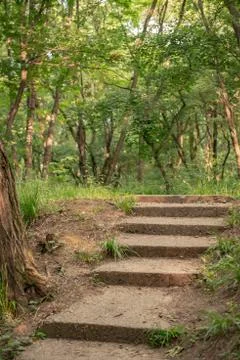 Personal perspective of walking on a path with step in the forest. Stock Photos