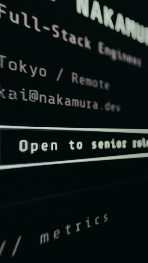 Personal portfolio for a technology professional Stock Footage 330666984