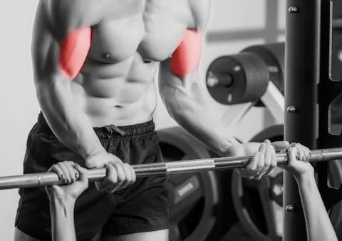 Personal trainer with barbell flexing muscles in gym Stock Photos
