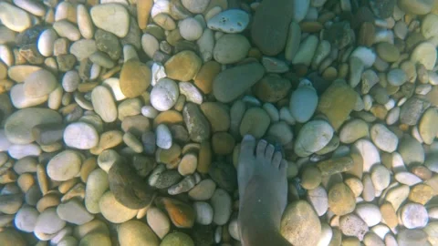 Personal view of man walking underwater on stony seabed Stock Footage 278948155