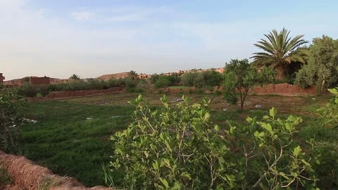 Personal view of walking in African desert scenic city close to water oasis. Video stock 85454965