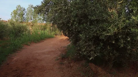 Personal view of walking in African desert scenic city close to water oasis. Vidéo 85615156