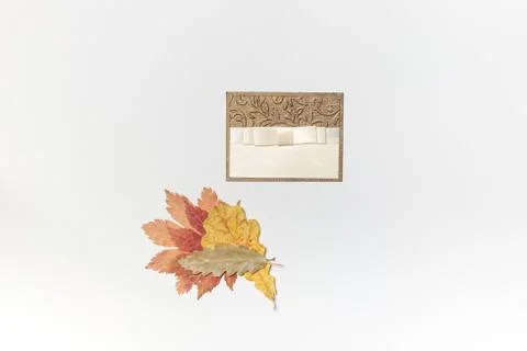 Personalized Seating card for a festive table, on a light background with dry Stock Photos