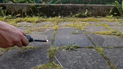 Person/Man setting fire with lighter. Burning Gas/Petrol in Slow Motion Stockbeeldmateriaal 122335818