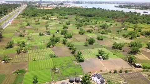 Personnal fields in Abidjan Stock Footage 97982051
