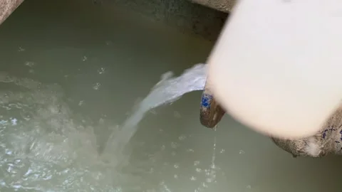 a person's hand is collecting a water sa... | Stock Video | Pond5