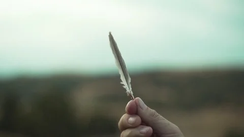 Person's hand holding a feather 스톡 동영상 83184588