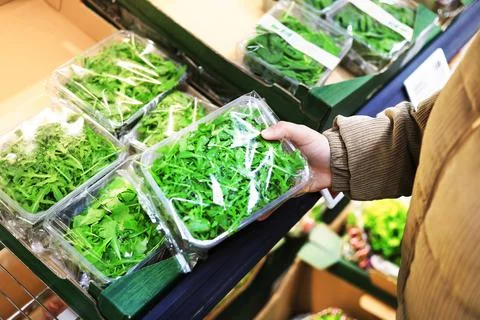 A person's hand selects a clear plastic container of fresh green arugula le.. Stock Photos