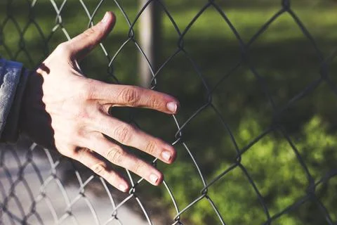 A person's hand is touching a chain link fence Stock-Fotos