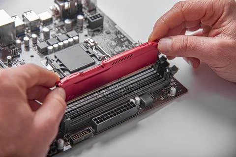 A persons hands installing a red RAM module into a slot on a computer Stock Photos