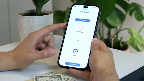 A persons hands navigate a finance application, monitoring balances across Stock Footage 315210330