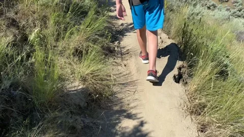 Person's legs and feet shown walking on a dirt trail in Boise, Idaho Vídeos de archivo 133271253