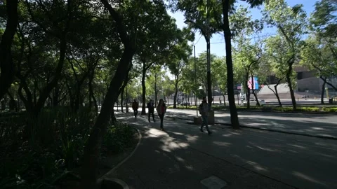 Persons Walk in the Park Stock Footage 147103047