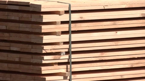 Perspective angle of wooden planks in close-up at a lumber warehouse Stock Footage 290065498