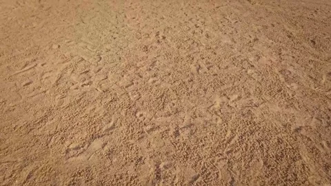 Perspective on a baseball field. Ground texture. Sports and Recreation Footage Stock Footage 338135230