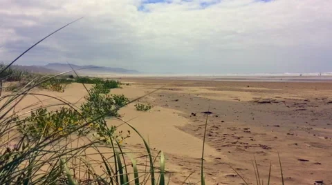 Perspective of beach grass and dunes along shoreline Stock Footage 55211990