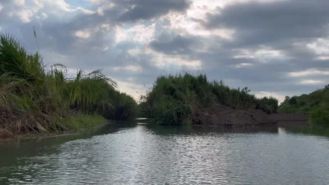 Perspective of a boat driving into a forest Stock-Footage 240267486