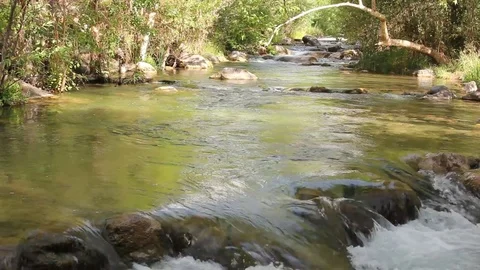 Perspective of Creek down Short Falls Stock Footage 78029480