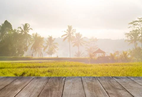 Perspective empty wooden table in front of rice fields and coconut trees Stock Photos