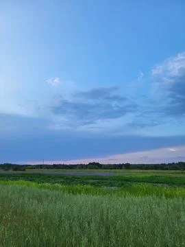 Perspective of flat green pasture under summer evening clouds Stock-Fotos