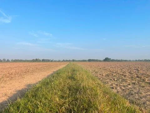 Perspective of a Grassy Path Dividing a Plowed Agricultural Field Under Blue Sky Stock Photos