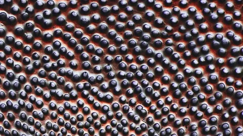 Perspective grunge button pattern tile mesh texture Stock Footage 170470197