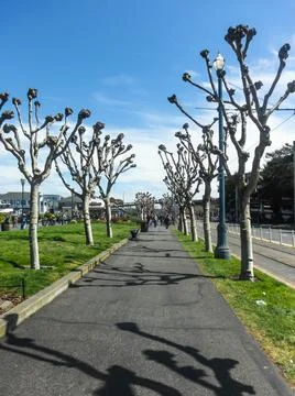 Perspective of the path towards the pier Stock Photos