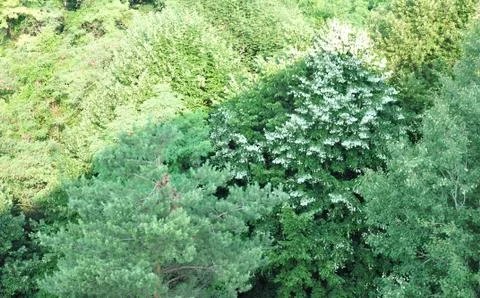 Perspective Stock Photos