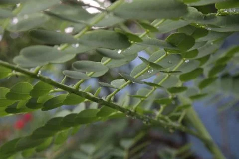 Perspective 库存照片