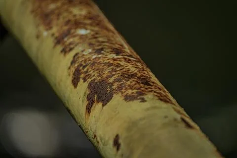 Perspective of rusty industrial iron railing steel pipe near midnight Fotos Stock