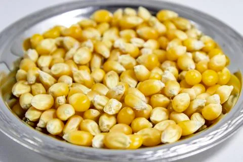 Perspective shoot of multiple corn seeds in the metal reflective cup Stock Photos