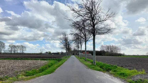 Perspective shot of a rural road lined with bare trees in Flanders. Vídeos de archivo 333196255