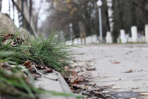 Perspective sidewalk in the park Perspective sidewalk in the park ,model r... Fotos de archivo