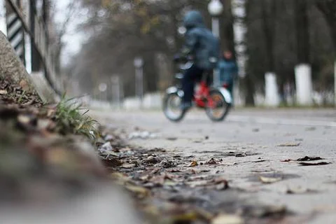 Perspective sidewalk in the park Perspective sidewalk in the park in a rai... Fotos de archivo