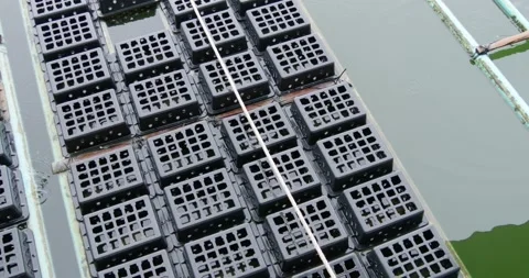 Perspective of a tranquil aquaculture farm featuring soft shell crab traps in Stockbeeldmateriaal 344029803