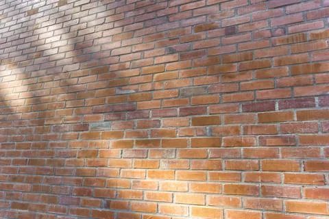Perspective view of brick wall with shadow Stock Photos