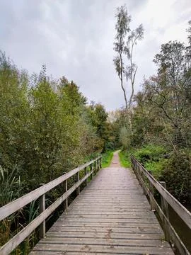Perspective view of a bridge in a recreation area Stock Photos