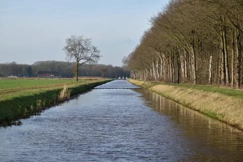 Perspective view of a canal lined with trees in the Dutch countryside Stock Photos
