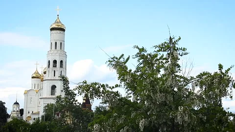 Perspective view of a church tower surrounded by green trees on a background of 스톡 동영상 139784173