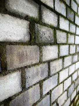 Perspective view of gray rough and mossy wall made of concrete bricks and cement Stock Photos