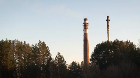 Perspective view of industrial pipes among the trees. Stock Footage 119155331