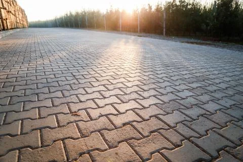Perspective View Monotone Gray Brick Stone Pavement on The Ground for Street 写真素材