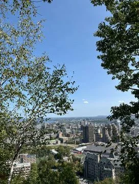 Perspective view from Mount Royal Photos