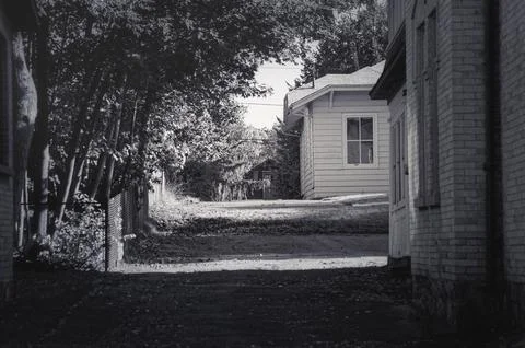 Perspective view of old house backyard with trees. Black and white Stock Photos