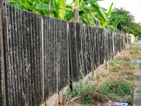 Perspective view of old weathered corrugated fence along a street with gree.. Foto stock