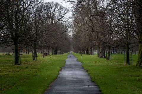 Perspective view of a park pathway where people trek and run, with irregular Stock Photos