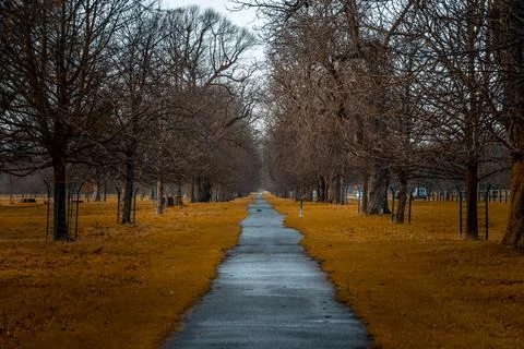 Perspective view of a park pathway where people trek and run, with irregular Stock Photos