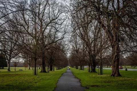 Perspective view of a park pathway while people run, with irregular path shaped Stock Photos