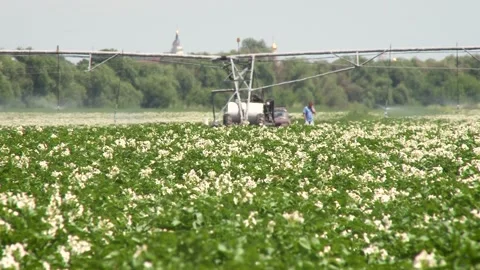 Perspective view of the pollination equipment in process. Stock Footage 133347271