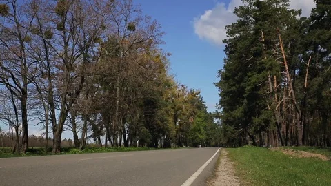 Perspective view of SUV car driving through scenic road. Stock Footage 78626229
